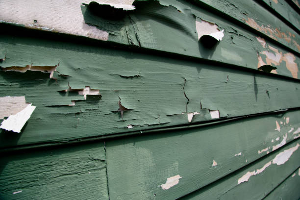 Same-Day Junk Removal Services in Oneida, NY